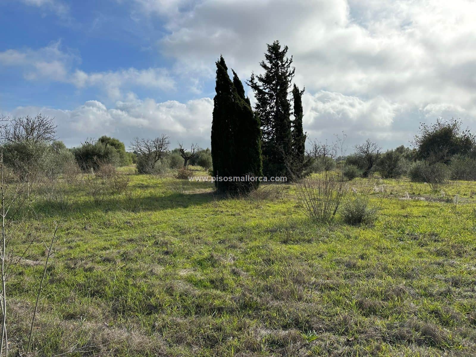 Terreno - Poligono Son Llaut, Santa Maria - Foto 4