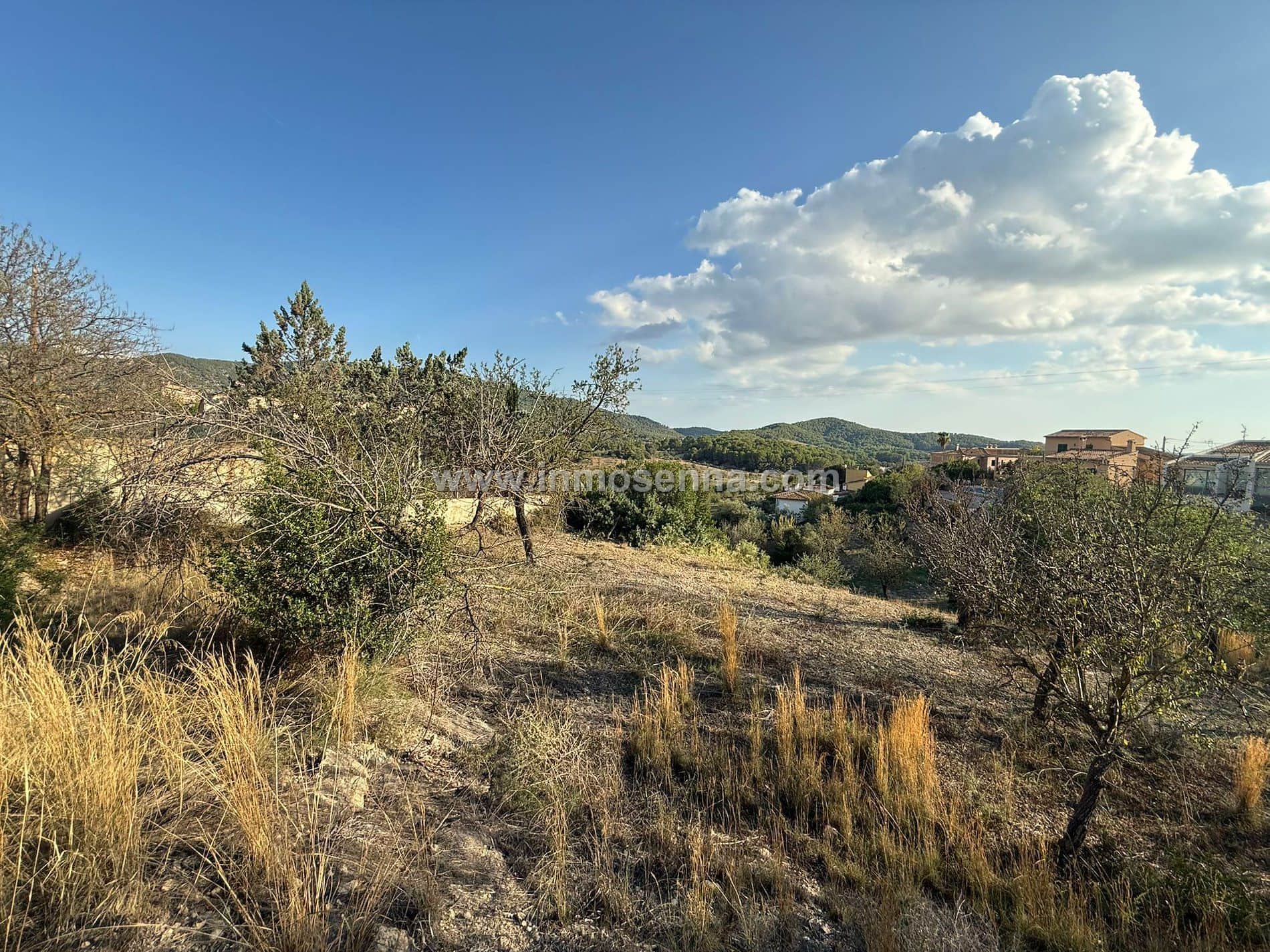 TERRENO URBANIZABEL EN ZONA CALVIA PUEBLO - Foto 2