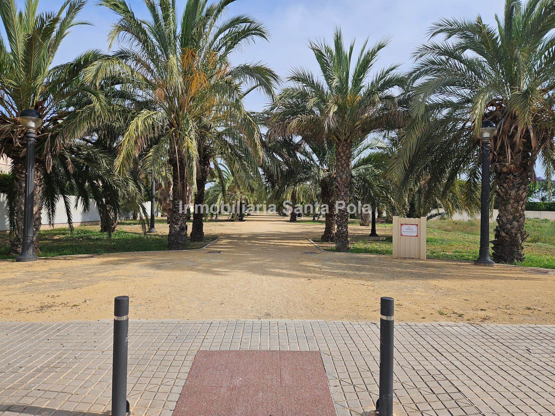 Parcela en Valverde Alto, Elche. - Foto 4