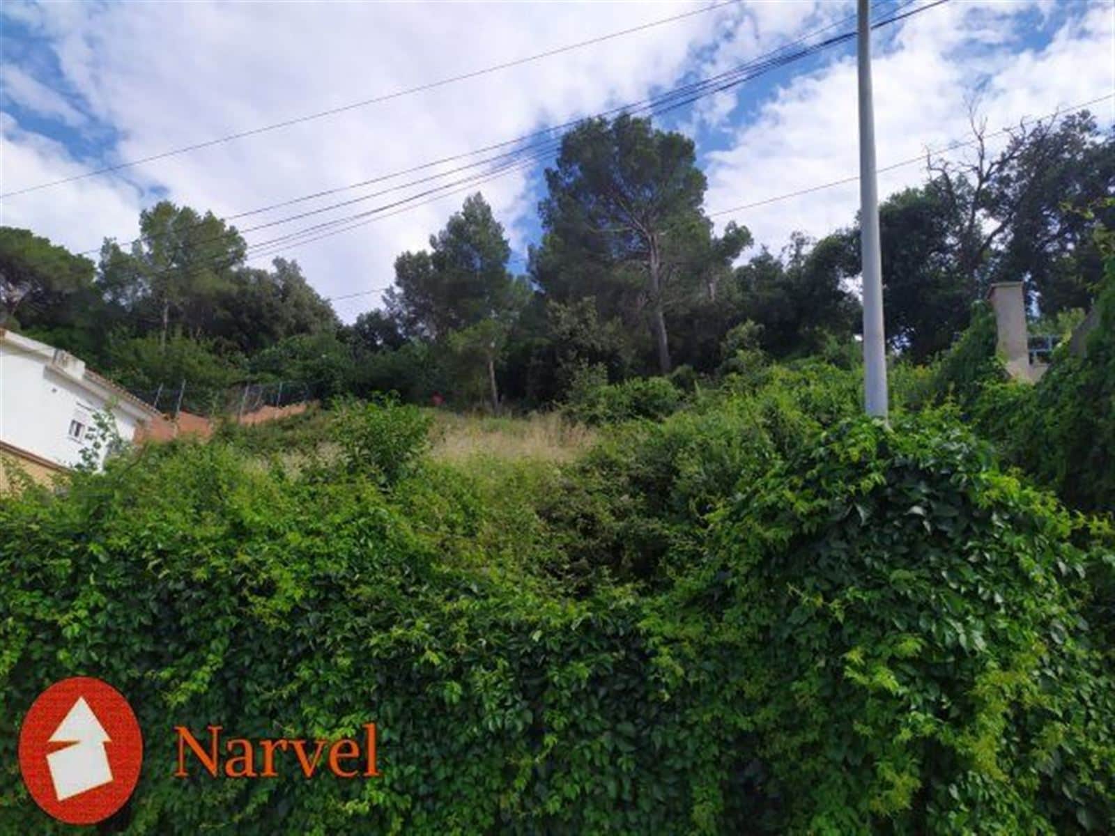 TERRENO EDIFICABLE EN MONFLORIT ZONA POBLADO IBÉRICO - Foto 1