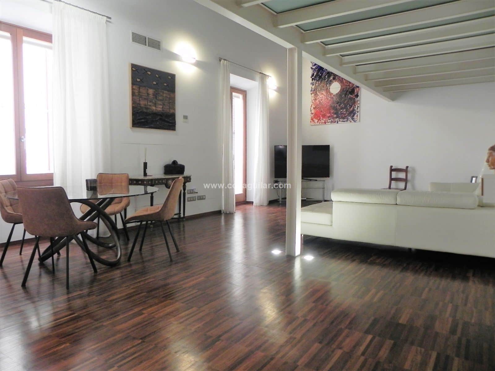 CASCO ANTIGUO, LOFT-DÚPLEX TECHOS ALTOS - Foto 3