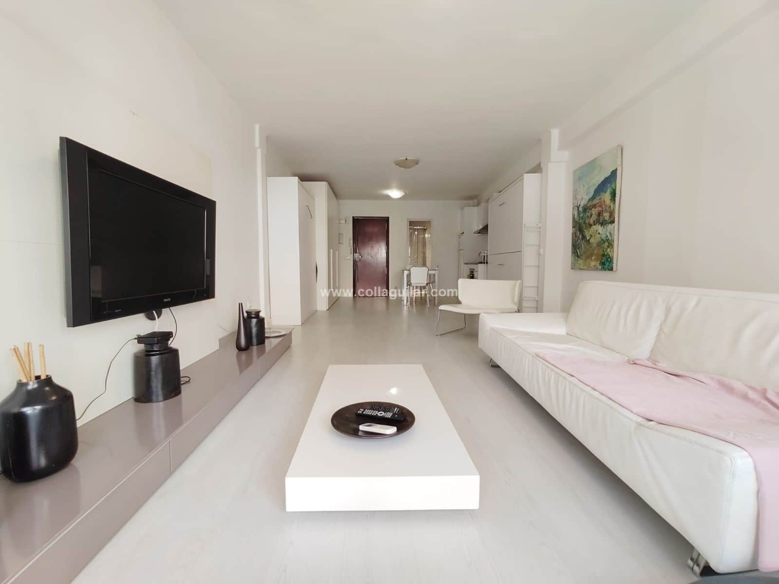 ESTUDIO 53 m2  EN CASCO ANTIGUO, SANTA EULALIA - Foto 1