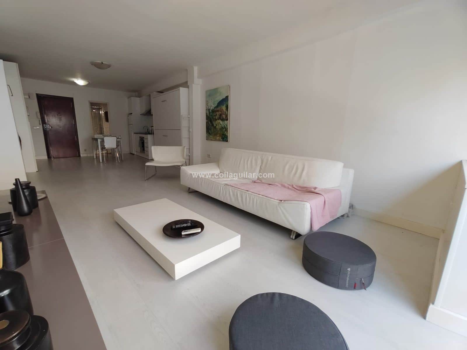 ESTUDIO 53 m2  EN CASCO ANTIGUO, SANTA EULALIA - Foto 2