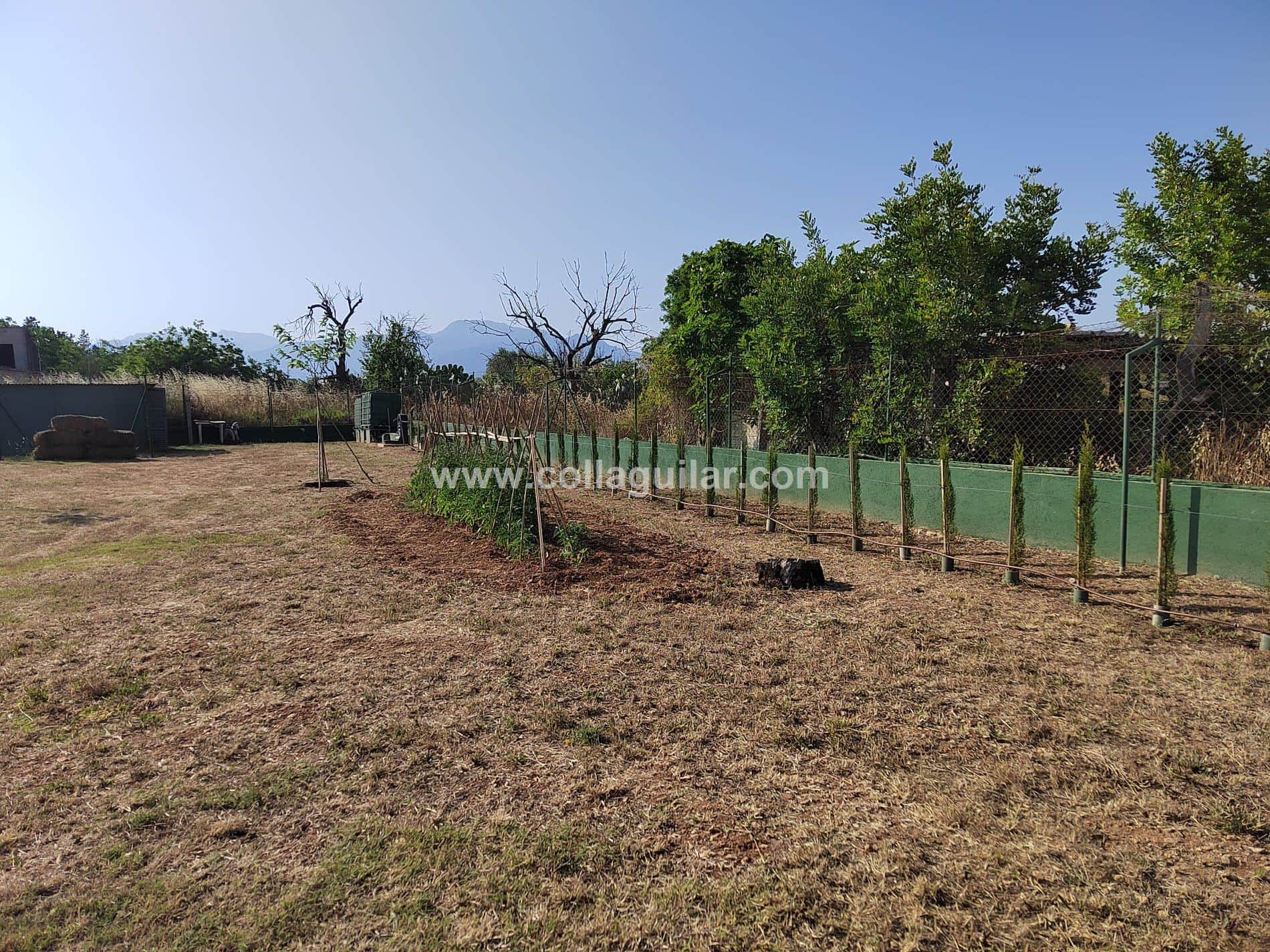 FINCA RUSTICA 3000 m2 EN INCA - Foto 5