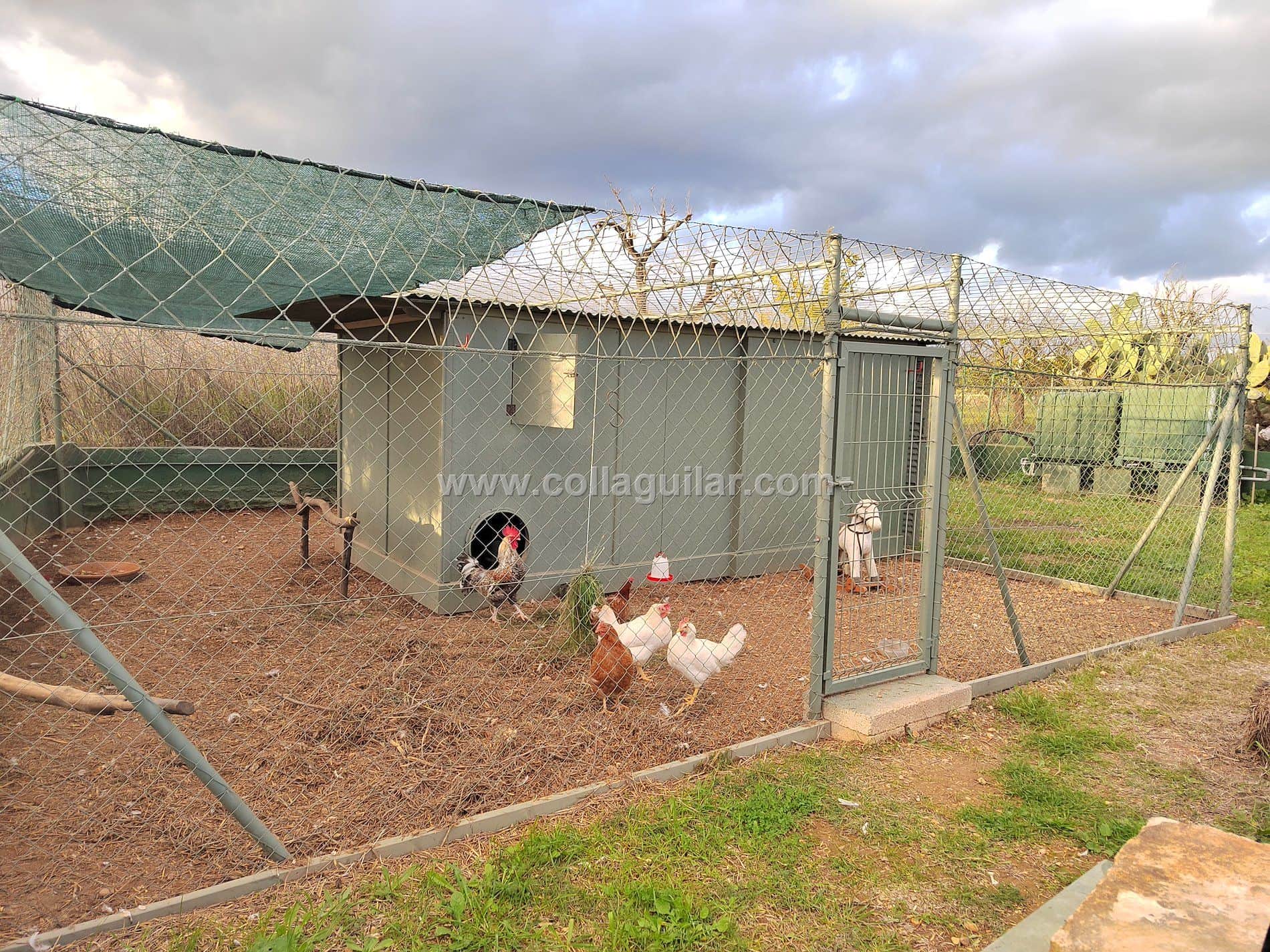 FINCA RUSTICA 3000 m2 EN INCA - Foto 2