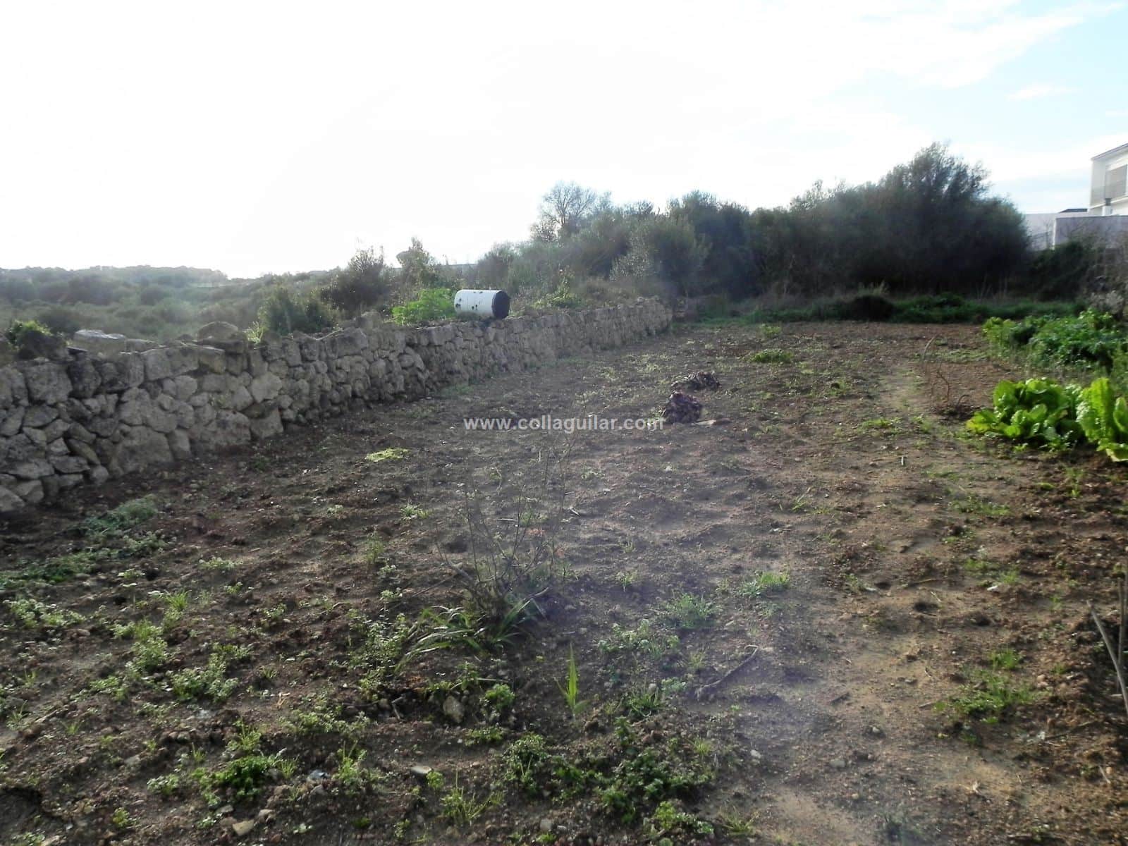 MURO PARCELA PARA EDIFICAR - Foto 1