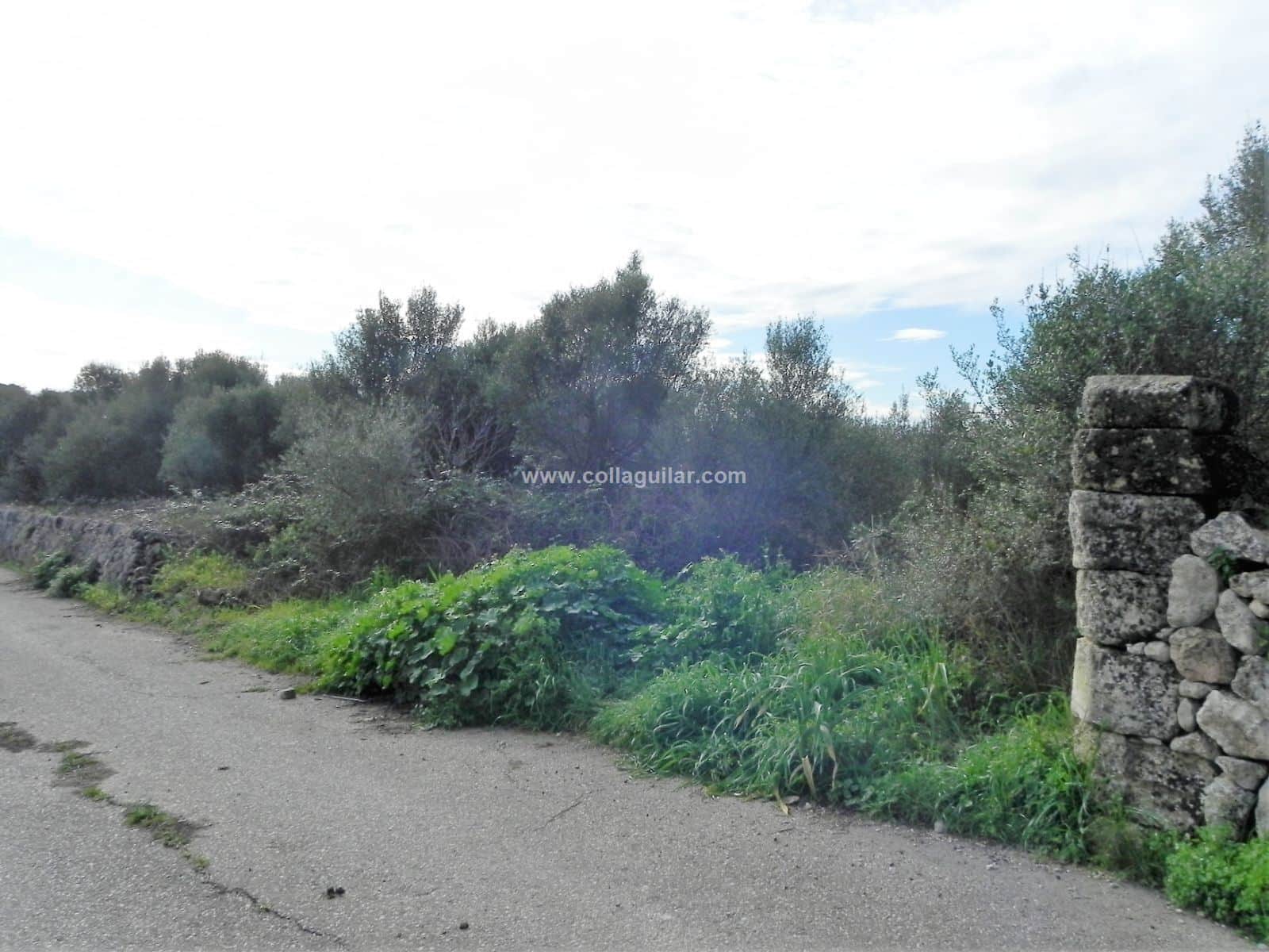 MURO FINCA RUSTICA DE 39.274 M2 - Foto 4