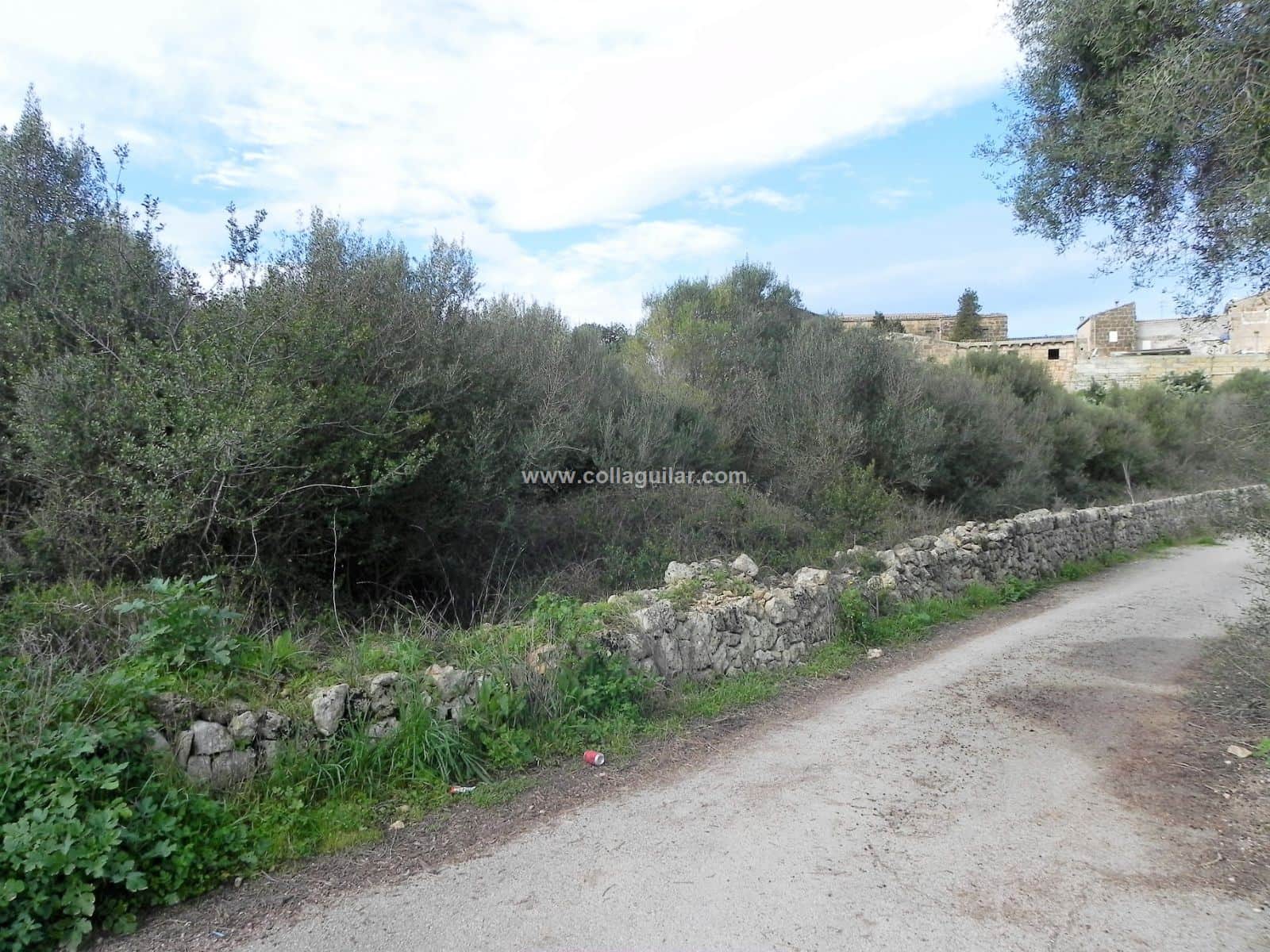 MURO FINCA RUSTICA DE 39.274 M2 - Foto 1