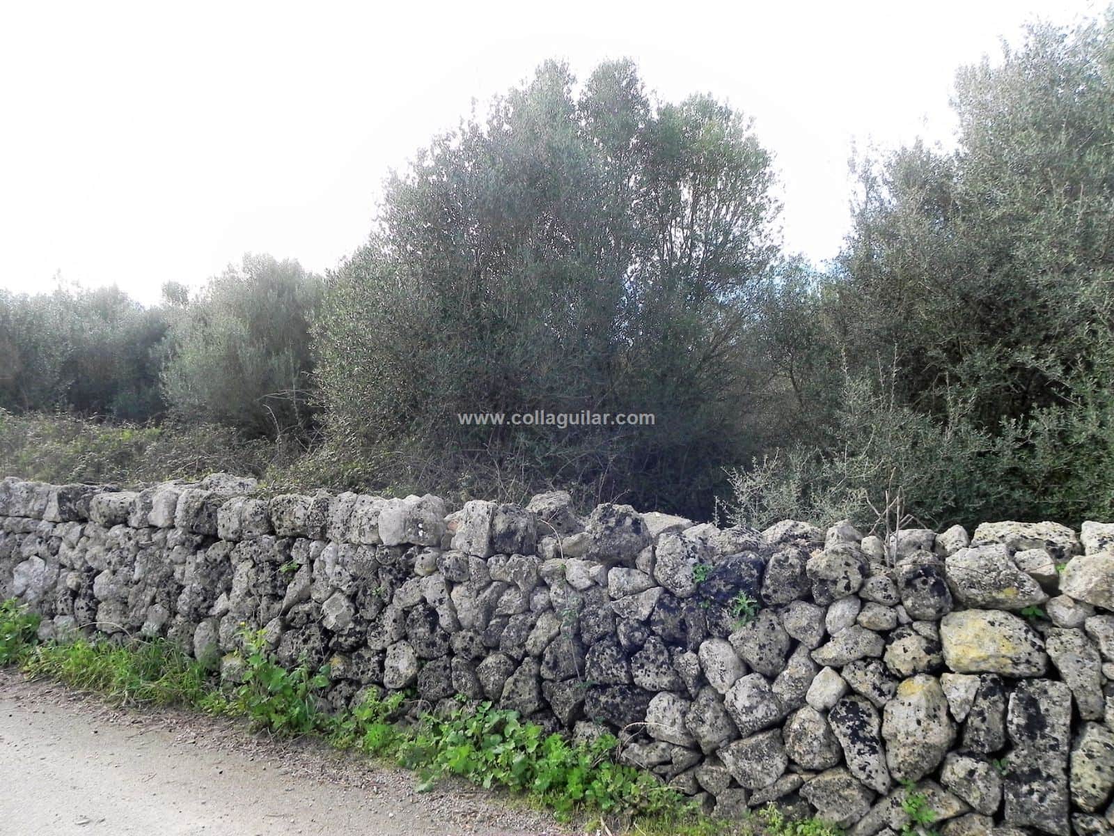 MURO FINCA RUSTICA DE 39.274 M2 - Foto 3