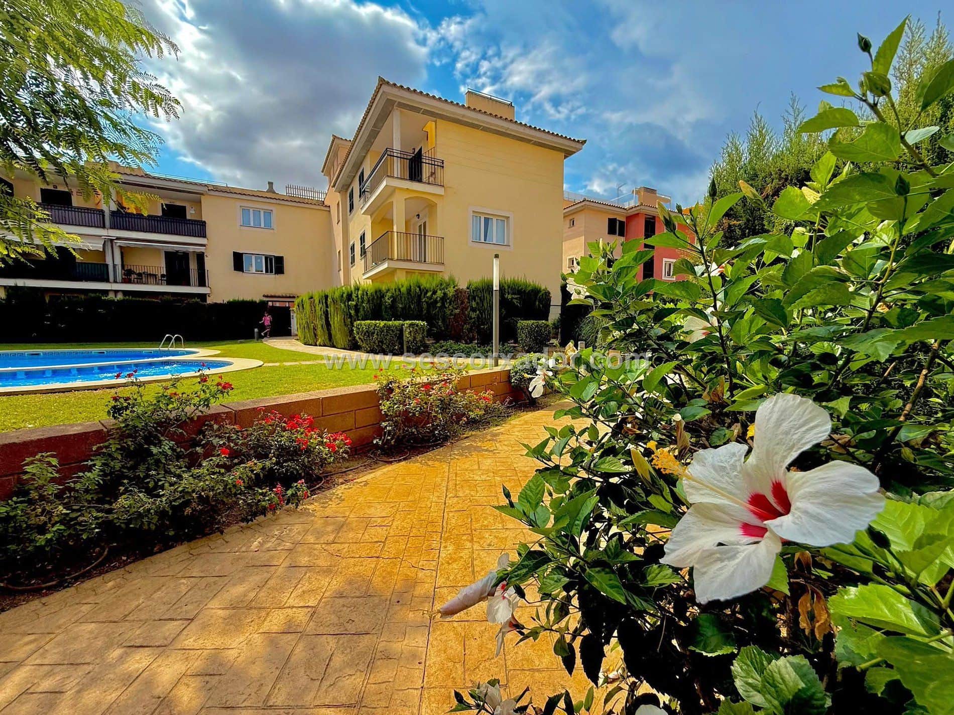 PRECIOSO PISO 2 DOMITORIOS ZONA SA TORRE P-2929 - Foto 5