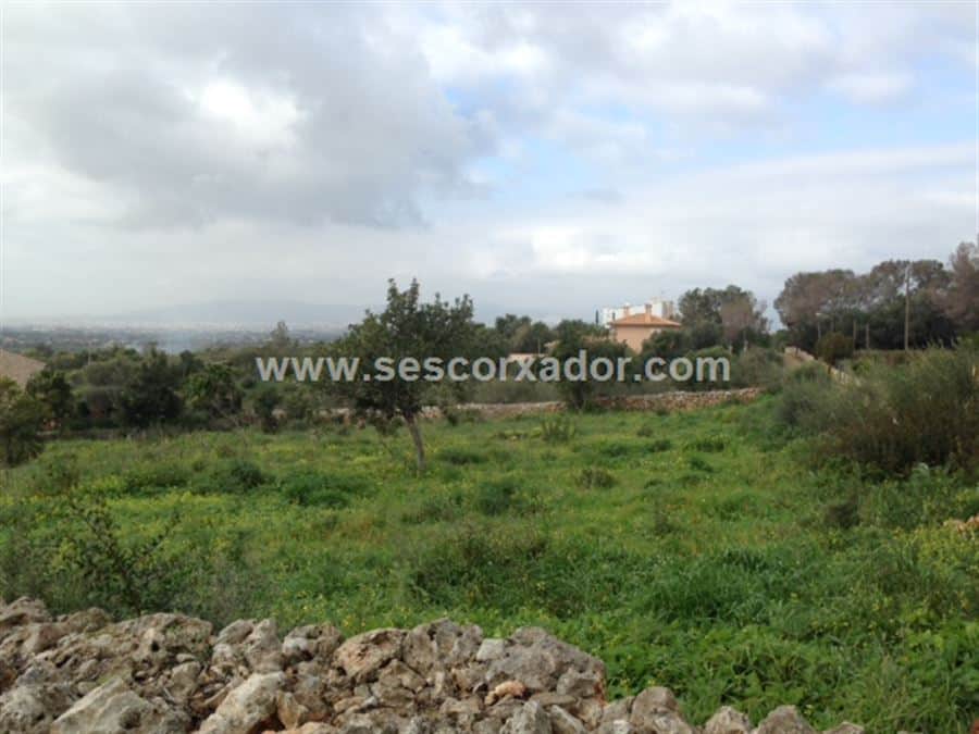 MAGNIFICA OPORTUNIDAD TRES SOLARES EN MARRTXI - Foto 2