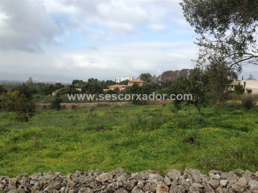 MAGNIFICA OPORTUNIDAD TRES SOLARES EN MARRTXI - Foto 3