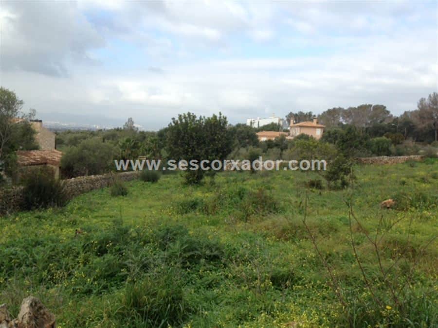 MAGNIFICA OPORTUNIDAD TRES SOLARES EN MARRTXI - Foto 1