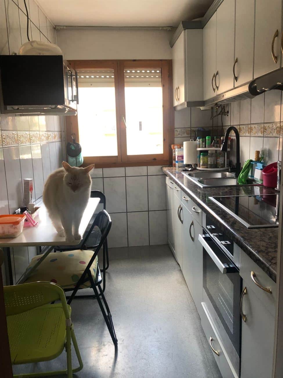 Chalet - Borja - Foto 2