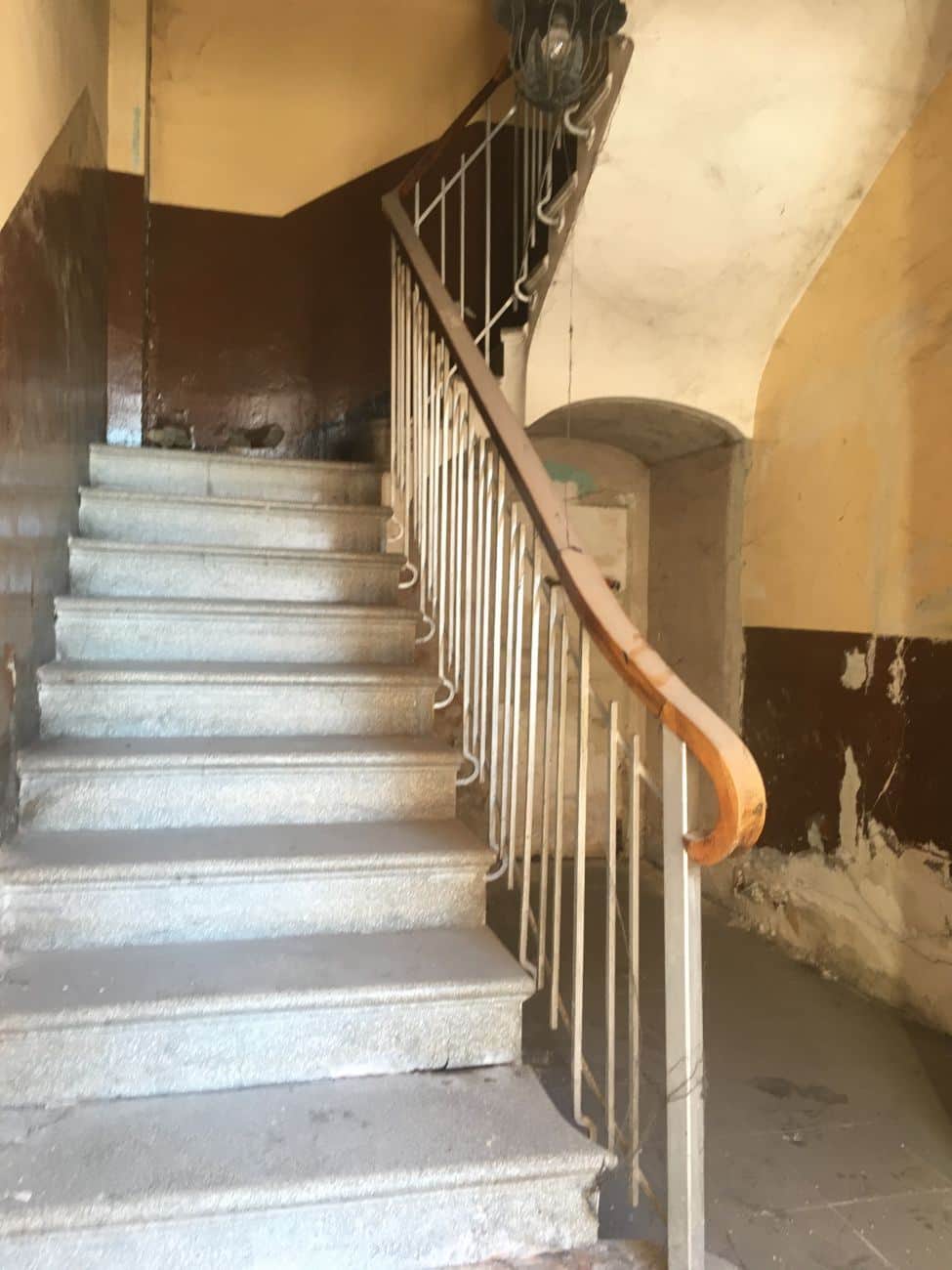 Finca - Borja - Foto 1