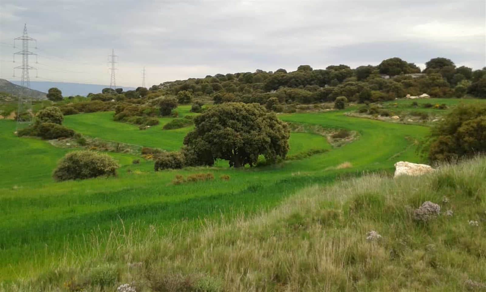 Terreno - Borja - Foto 3