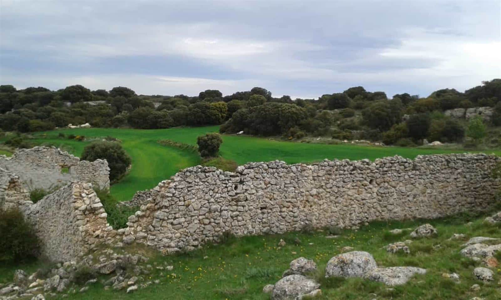 Terreno - Borja - Foto 4