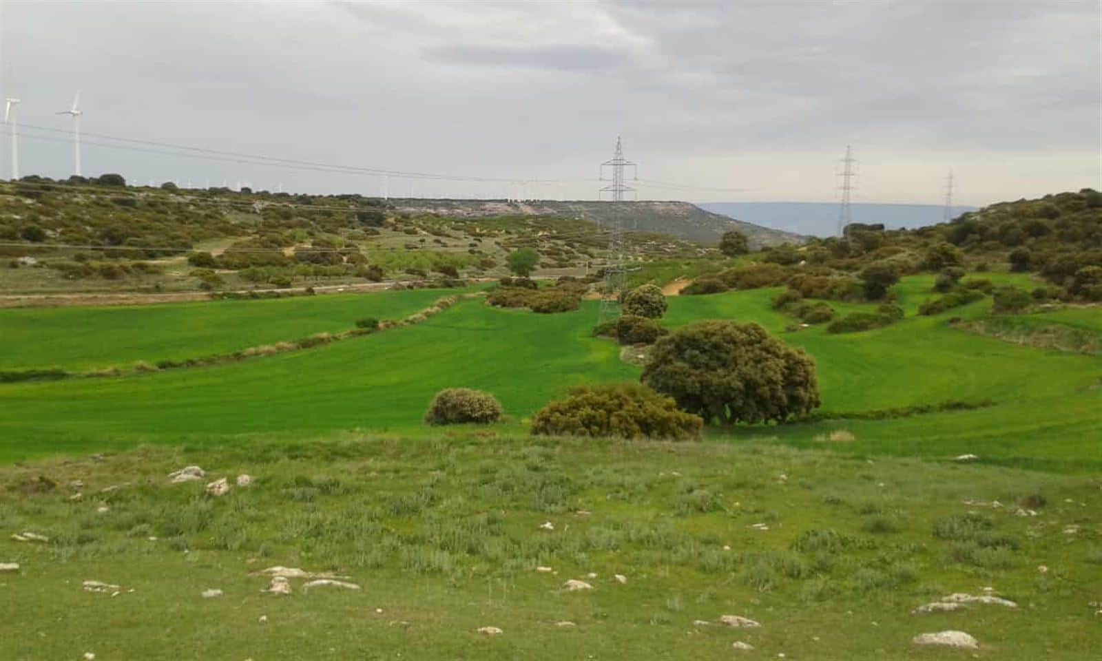 Terreno - Borja - Foto 2