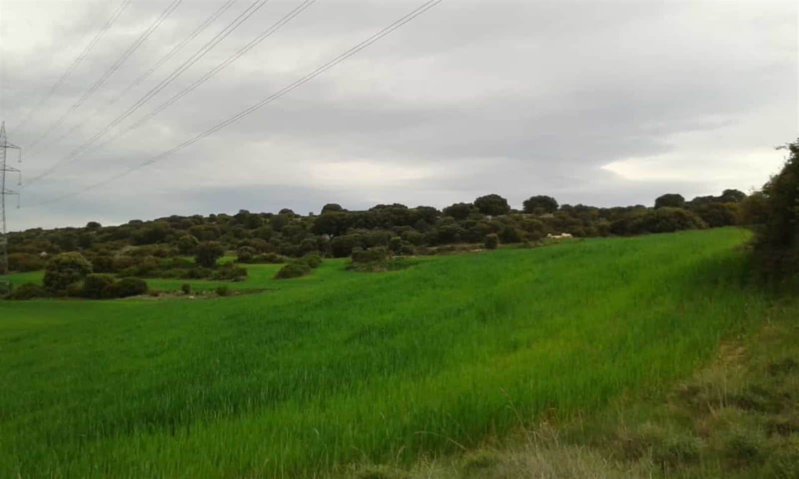 Terreno - Borja - Foto 5