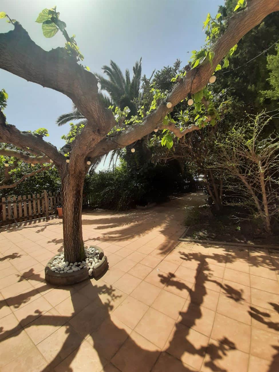 FINCA CAMBRILS CON VIVIENDA DE OBRA - Foto 4