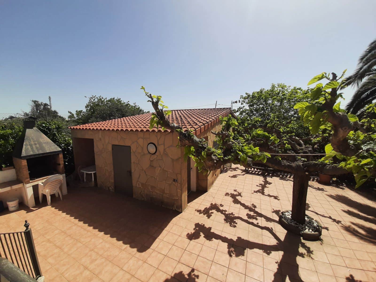 FINCA CAMBRILS CON VIVIENDA DE OBRA - Foto 1