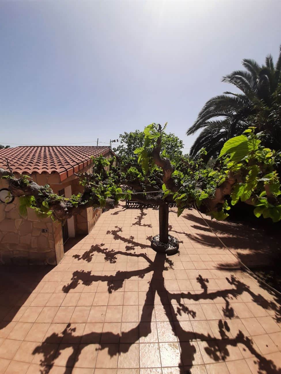 FINCA CAMBRILS CON VIVIENDA DE OBRA - Foto 3