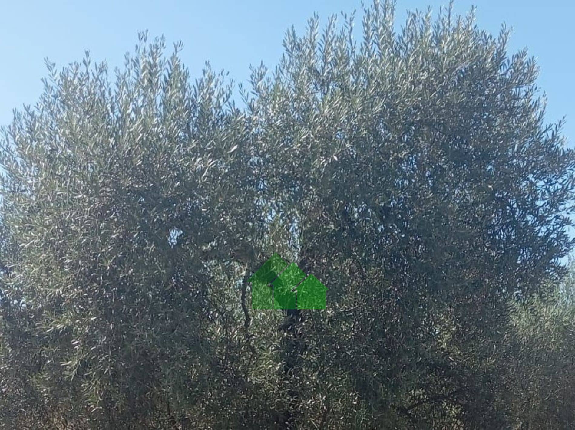 Plot - La Garrovilla - Foto 1