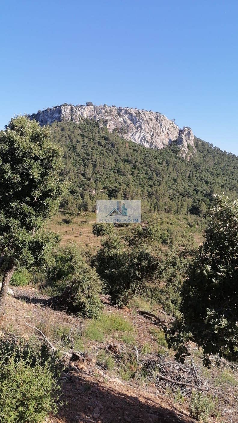 Villa - Carrer Pare Castañeda,  - Pueblo - Valldemossa - Foto 1