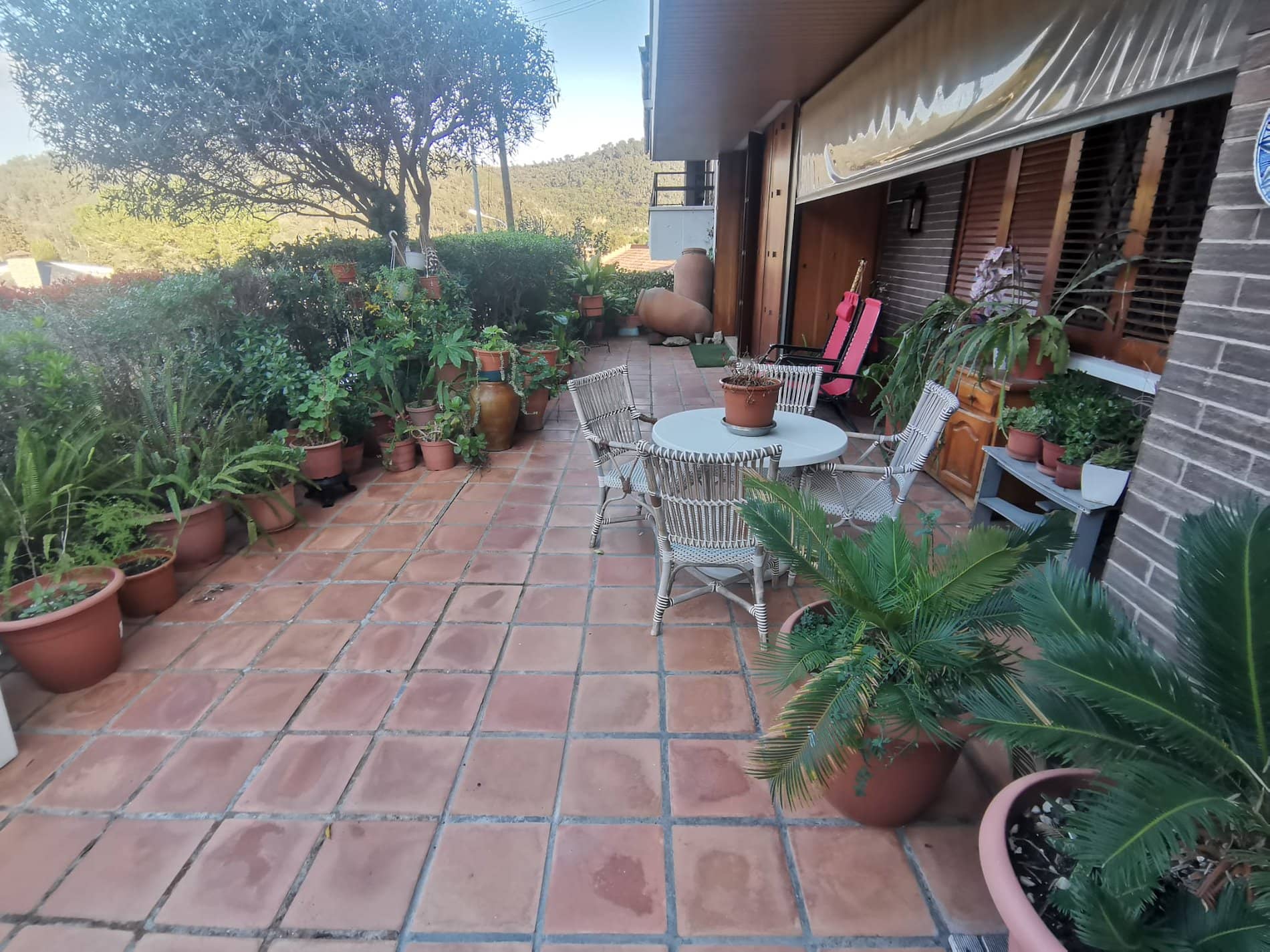 Planta baja - Torrelles De Llobregat - Foto 1