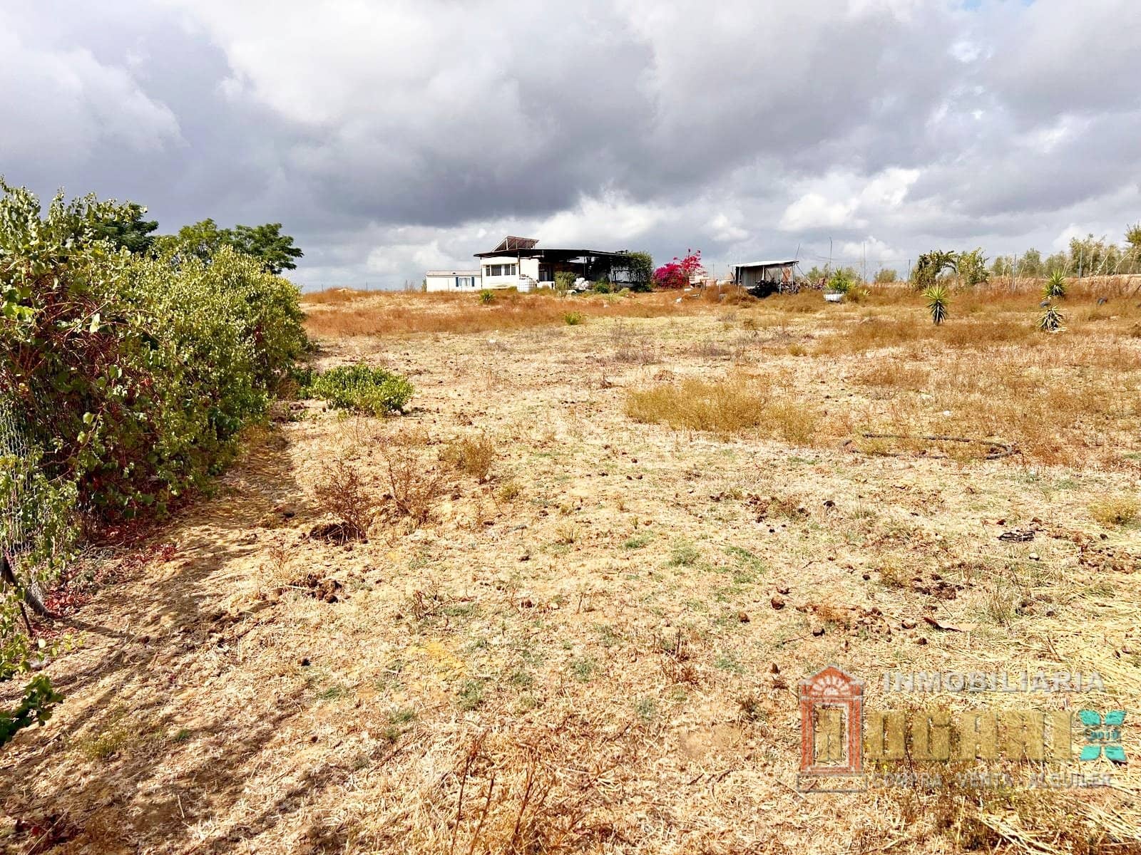 Terreny - Rociana Del Condado - Foto 1