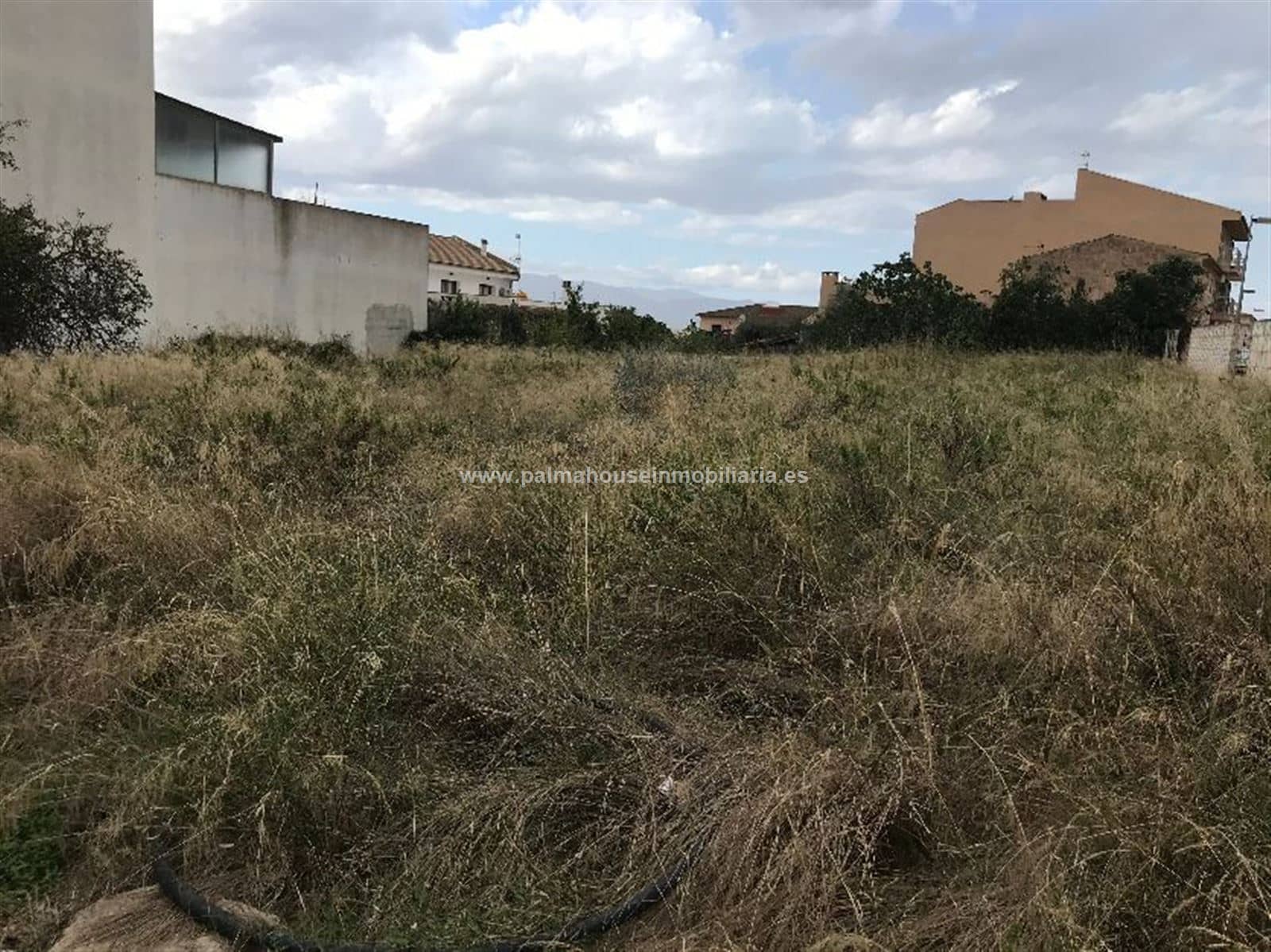 Terreno - Muro - Foto 1