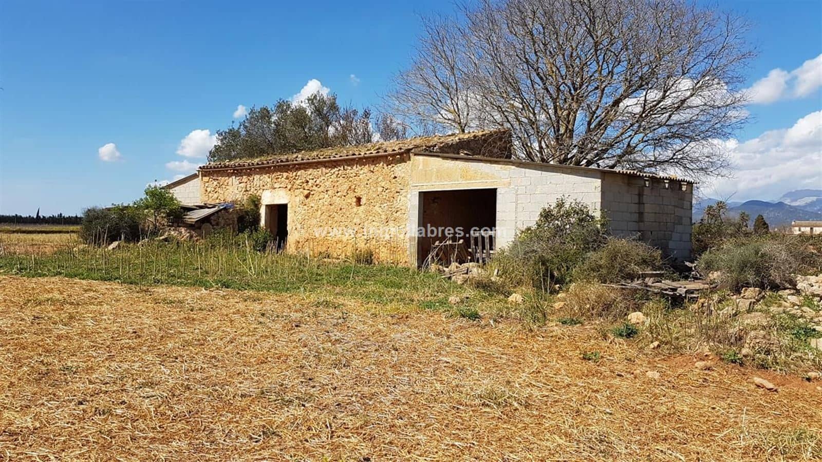 Finca rústica - Pueblo, Sencelles - Foto 1