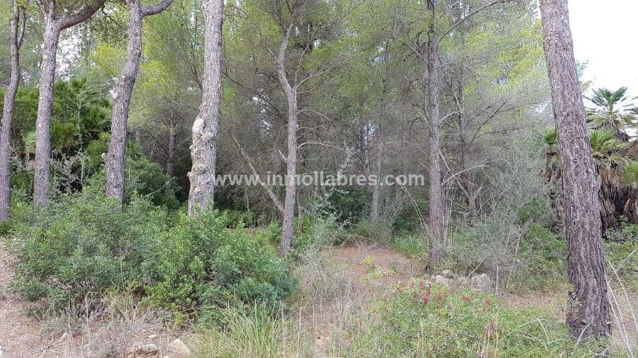 Finca rústica - Betlem, Arta - Foto 1