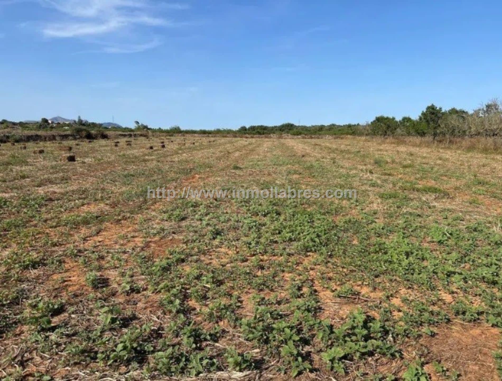 Terreno - Santa Margarita, Santa Margalida - Foto 1
