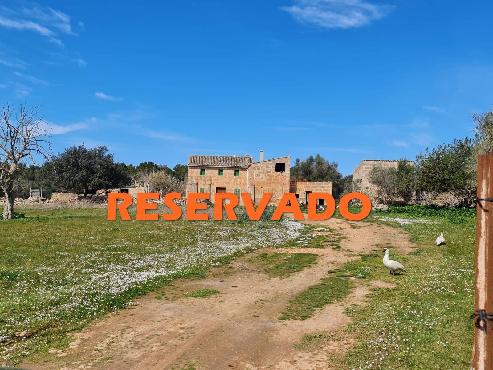 Finca rústica - Algaida, Algaida - Foto 1