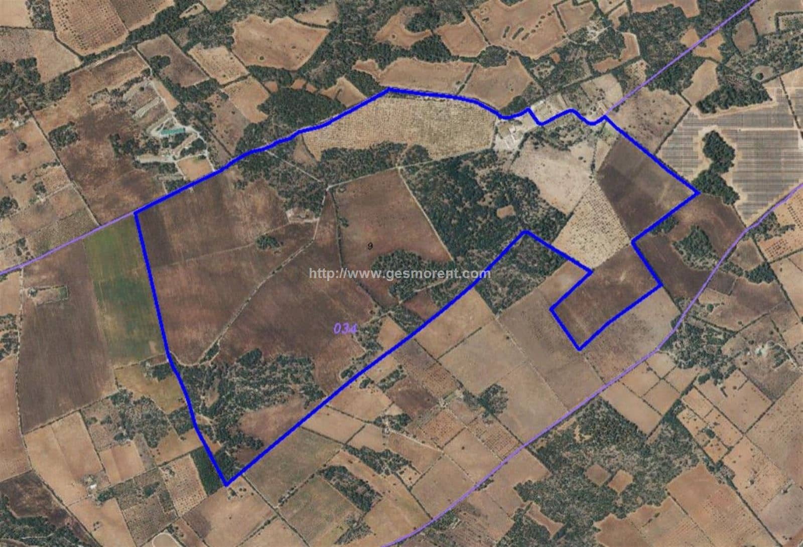 Terreno - Llucmajor - Foto 1
