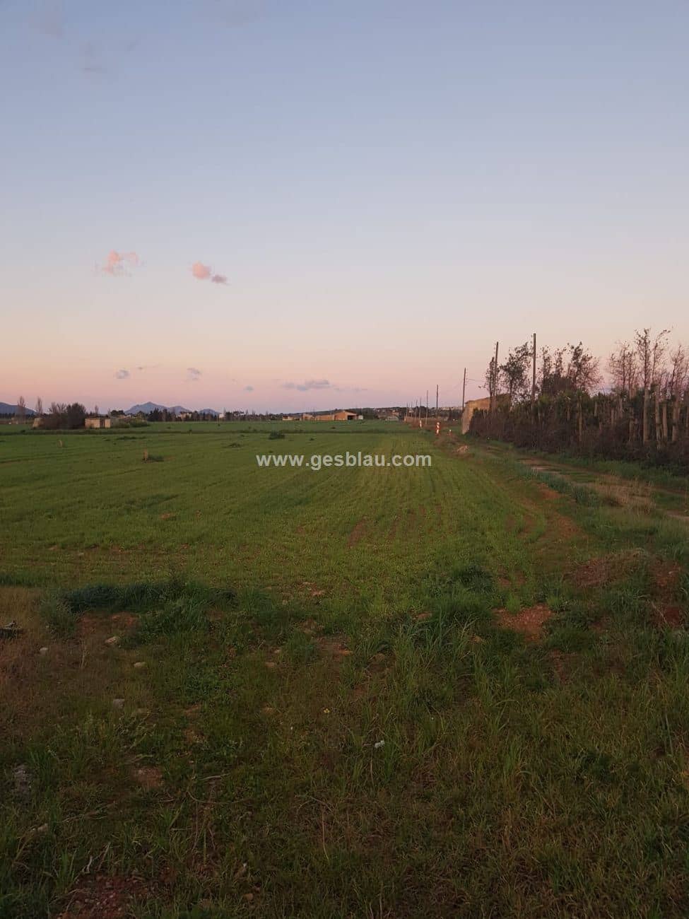 Terreno - Llubi - Foto 1