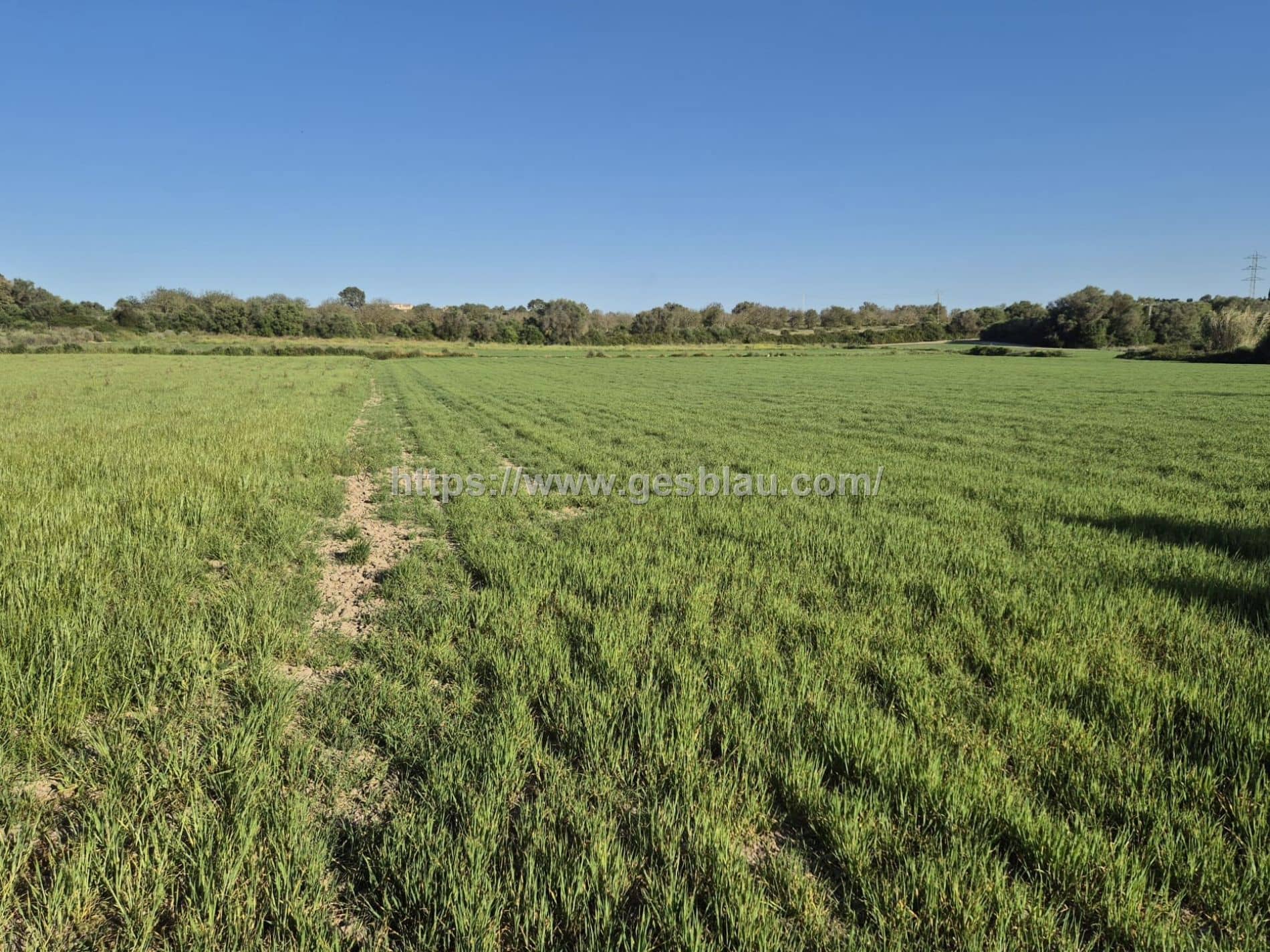 Terreno - Muro - Foto 1