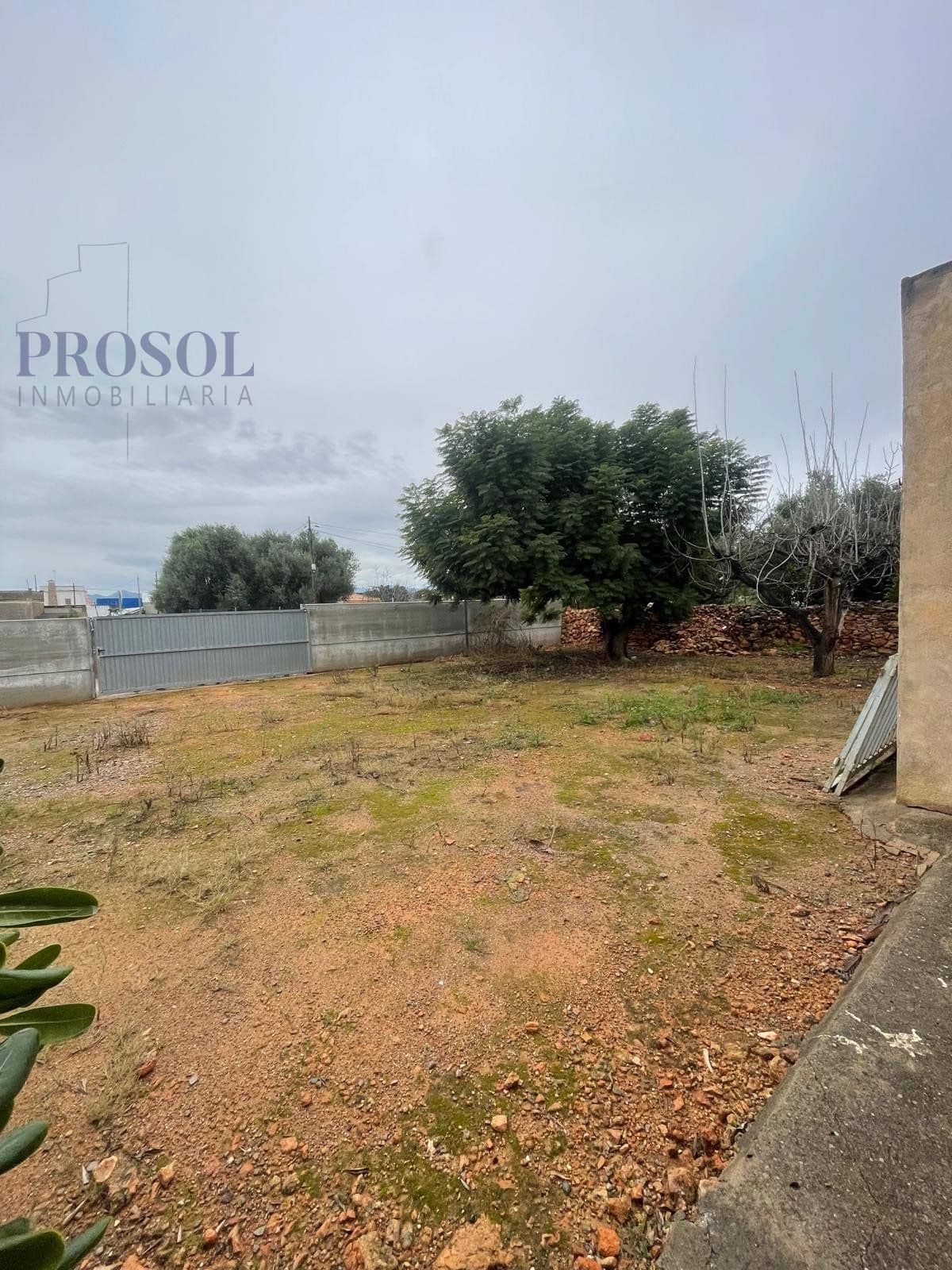 Finca rústica - Villarreal - Foto 1
