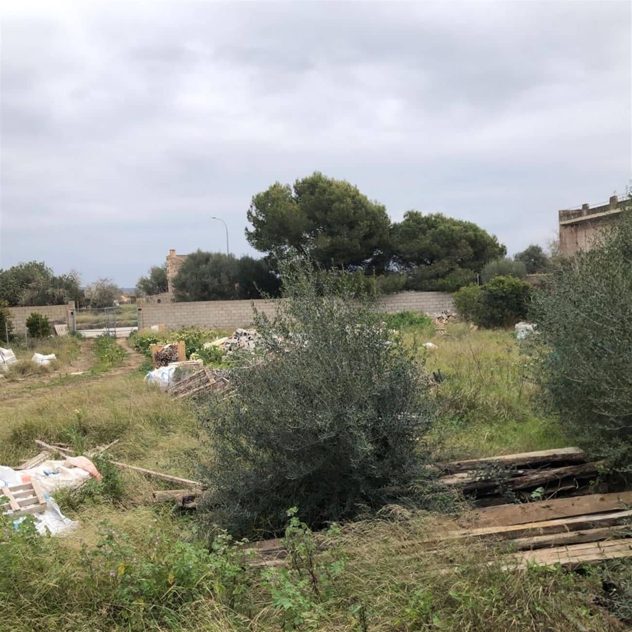 Terreno - De La Verge - Campos Pueblo - Campos - Foto 1