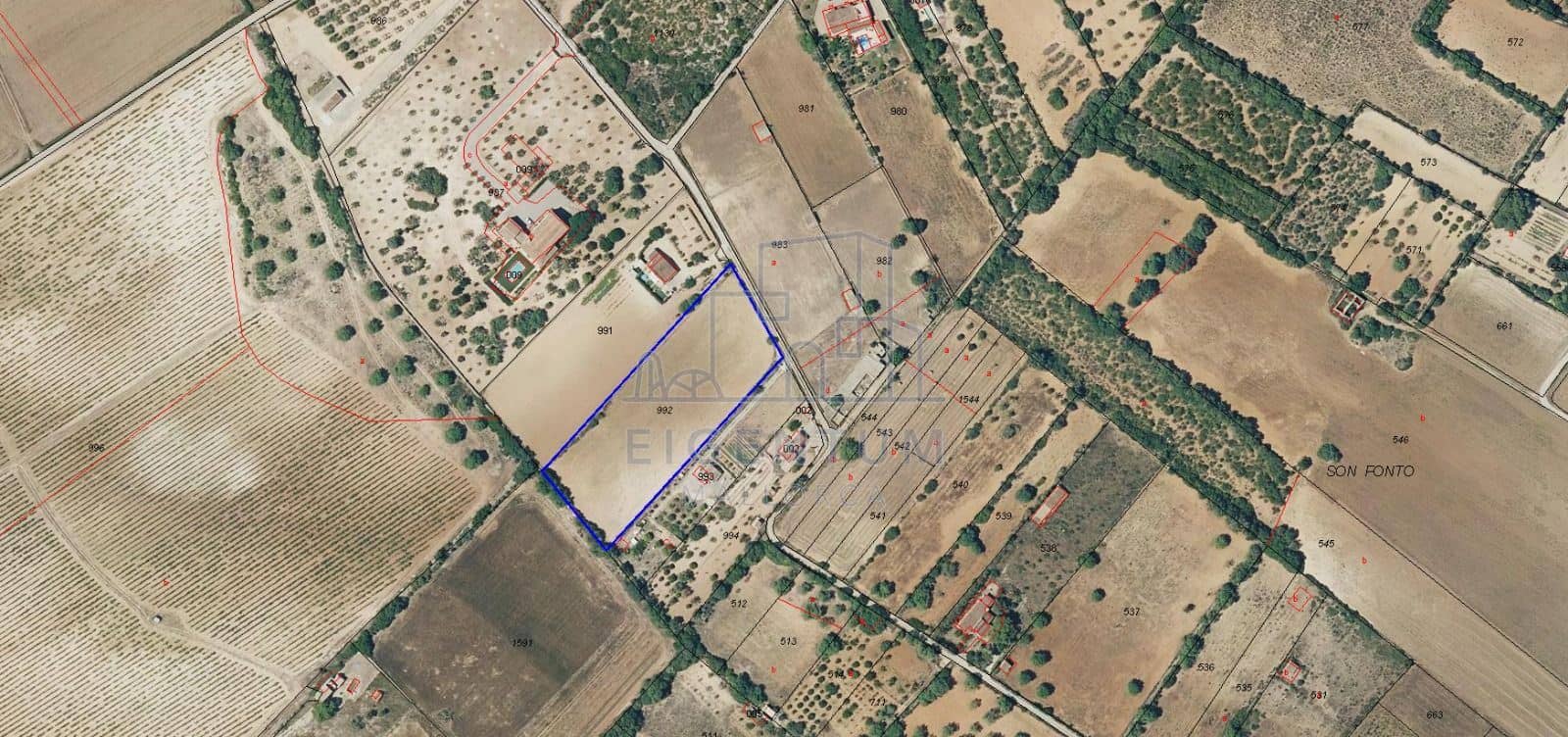 Terreno - Manacor, Manacor - Foto 1