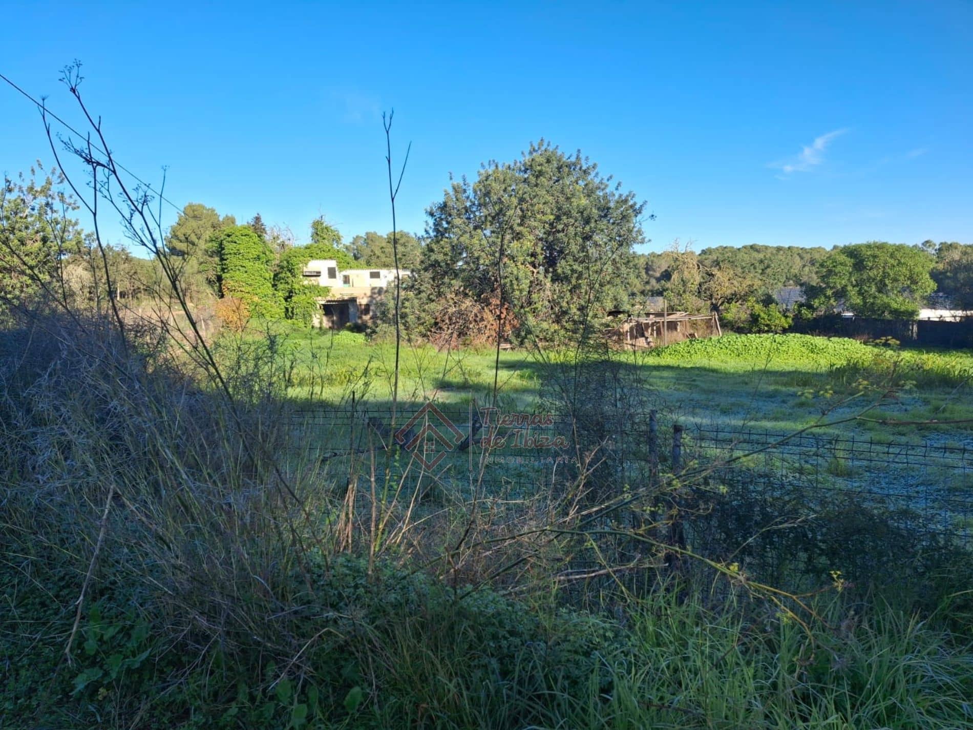 Finca rústica - Jesus, Santa Eularia - Foto 1