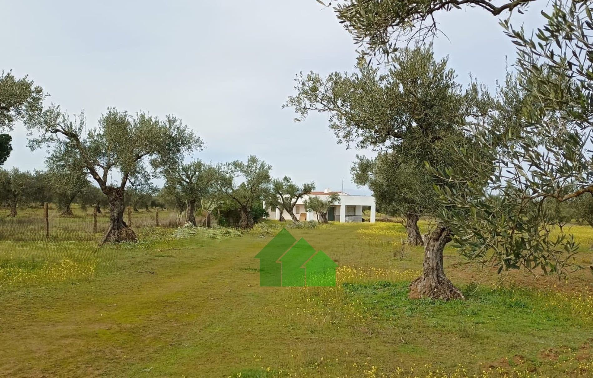 C-1042: VENTA DE CASA DE CAMPO CON GRAN SUPERFICIE DE TERRENO. LOS ARENALES. MONTIJO - Foto 1