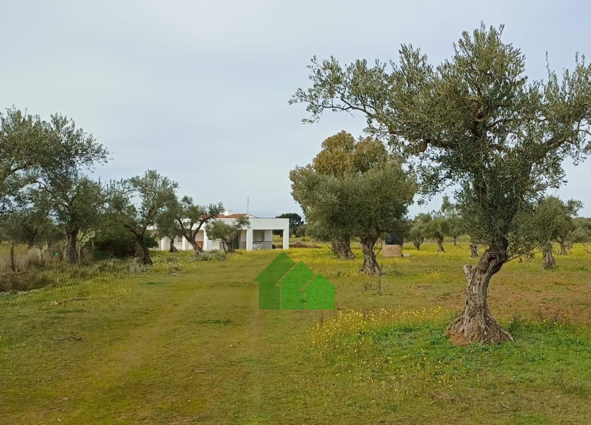C-1042: VENTA DE CASA DE CAMPO CON GRAN SUPERFICIE DE TERRENO. LOS ARENALES. MONTIJO - Foto 2