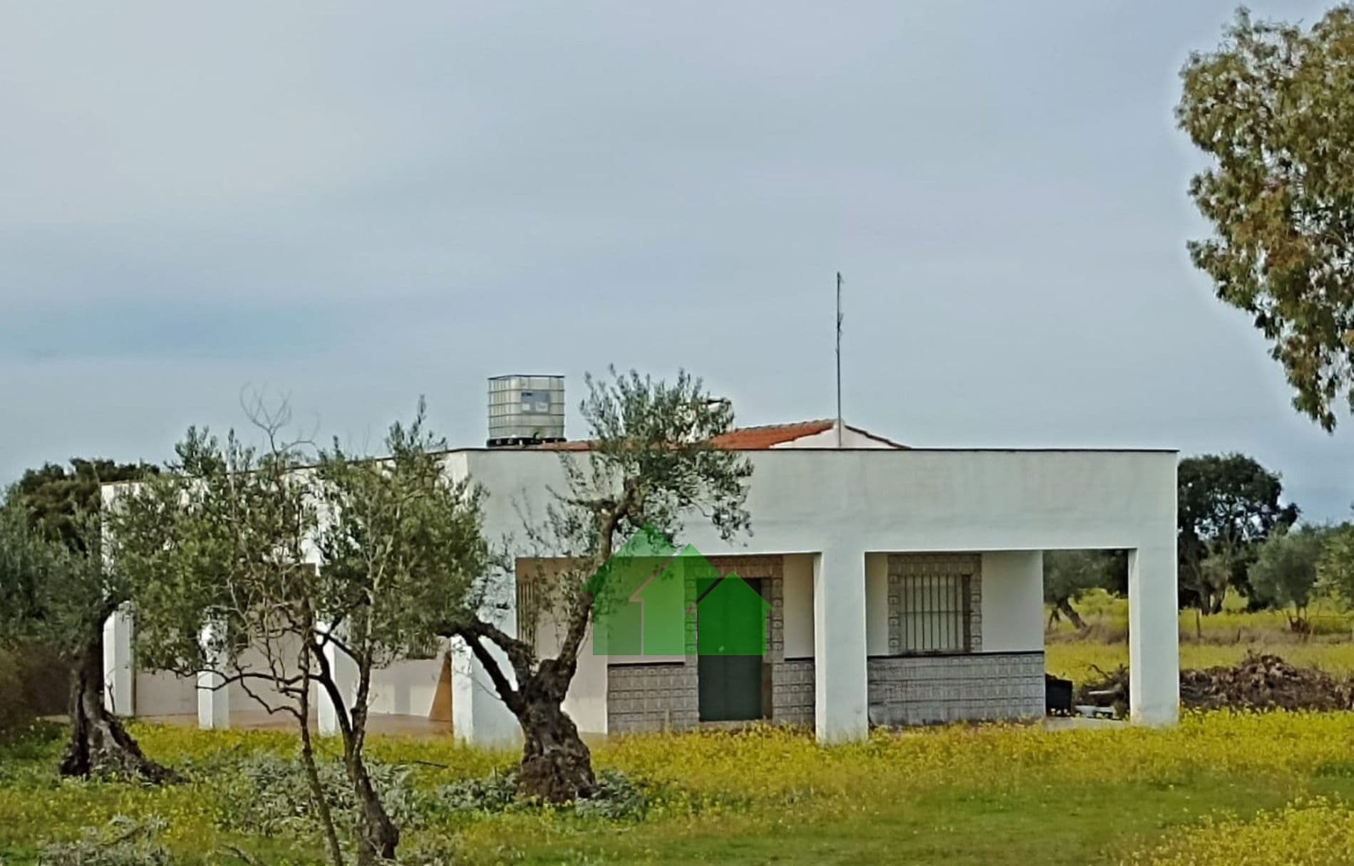 C-1042: VENTA DE CASA DE CAMPO CON GRAN SUPERFICIE DE TERRENO. LOS ARENALES. MONTIJO - Foto 3