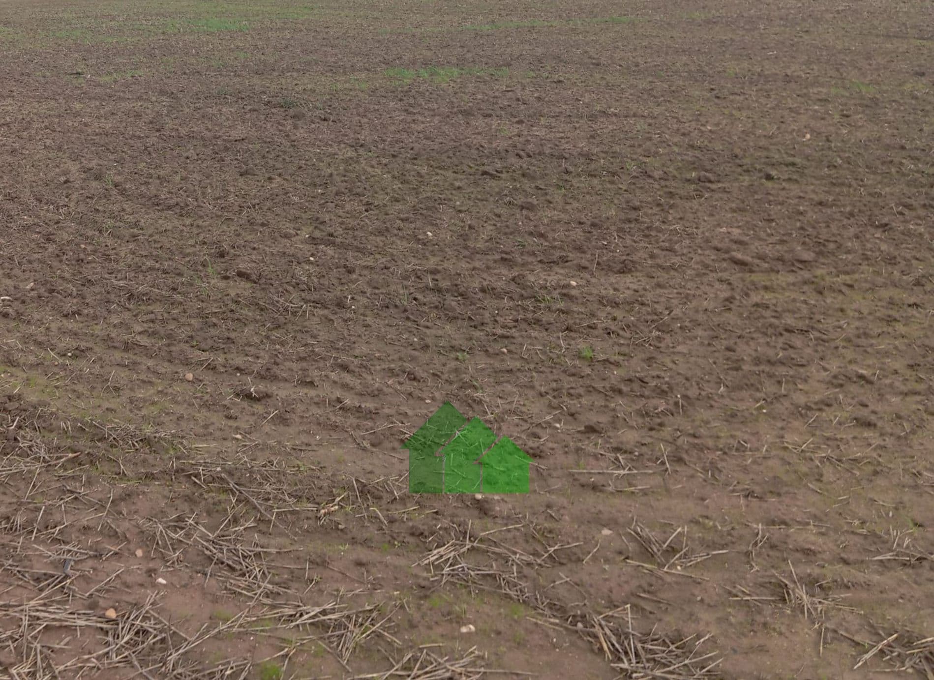 T-581: VENTA TIERRA DE VEGA REGADIO EN BARBAÑO (MONTIJO). - Foto 1