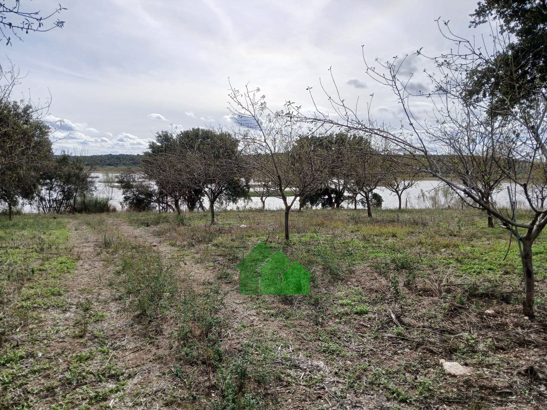 T-585: TIERRA DE SECANO PLANTA DE ALMENDROS CON CASA. LOS CANCHALES. MONTIJO - Foto 5