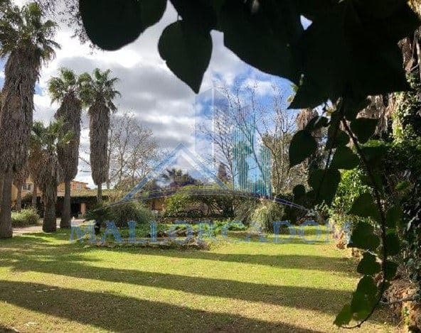 Finca con gran potencial en Llucmajor – Ideal para proyecto personal o inversión - Foto 2