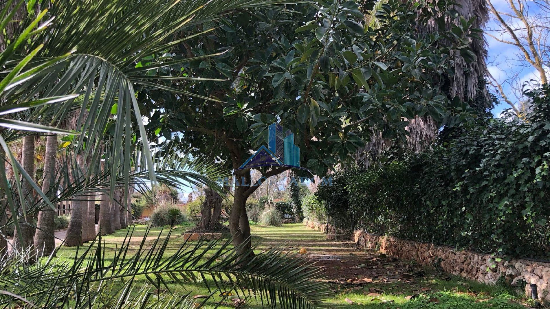 Finca con gran potencial en Llucmajor – Ideal para proyecto personal o inversión - Foto 3