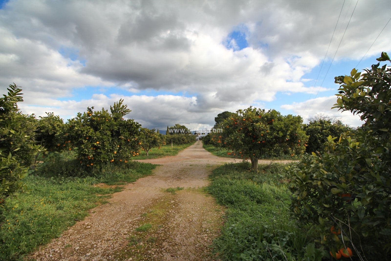 finca rural con vistas a la tramuntana - Foto 3